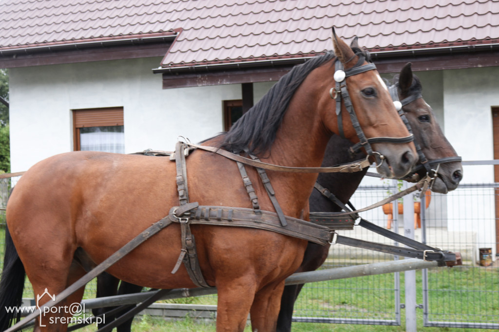 Festyn Rodzinny w Zbrudzewie. Pomimo nieprzychylnej pogody goście bawili się znakomicie