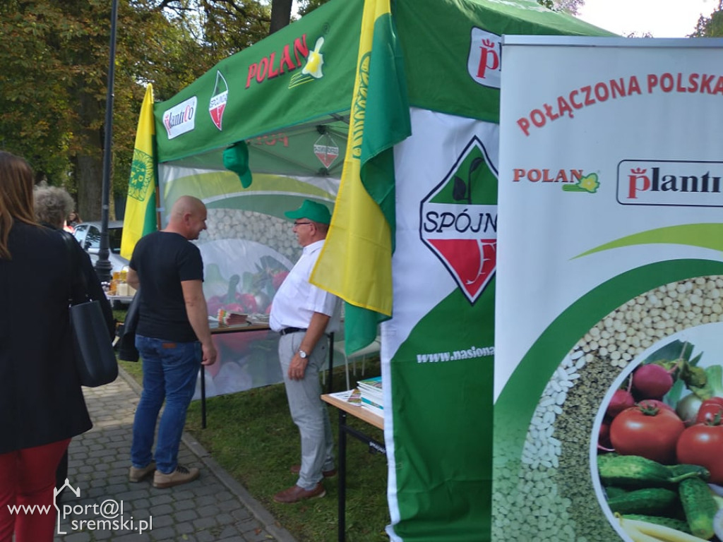 Promenada jak za dawnych lat! Tak w niedzielę bawili się nad rzeką mieszkańcy Śremu