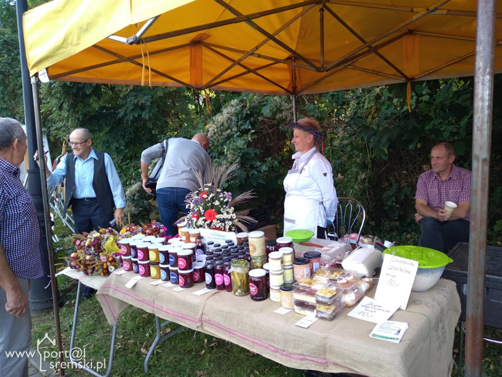 Promenada jak za dawnych lat! Tak w niedzielę bawili się nad rzeką mieszkańcy Śremu