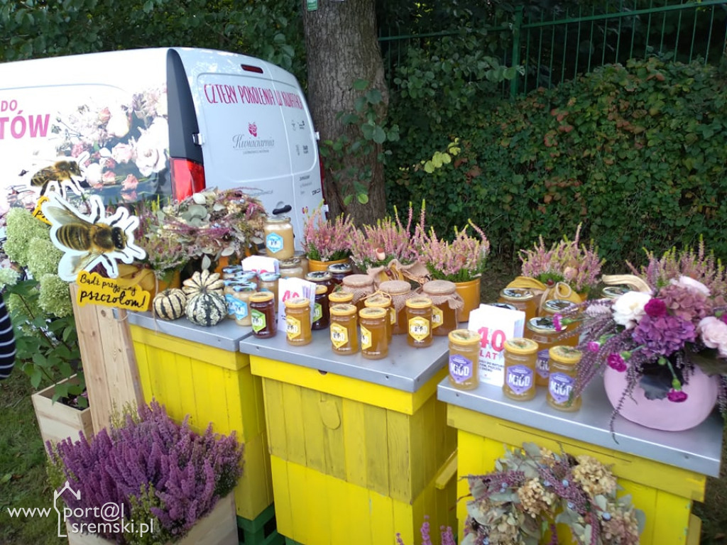 Promenada jak za dawnych lat! Tak w niedzielę bawili się nad rzeką mieszkańcy Śremu