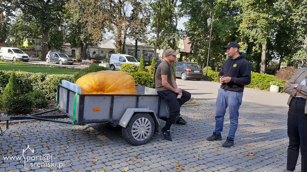 W Grzybnie wybierali nacjęższego korbola