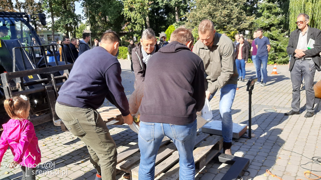 W Grzybnie wybierali nacjęższego korbola