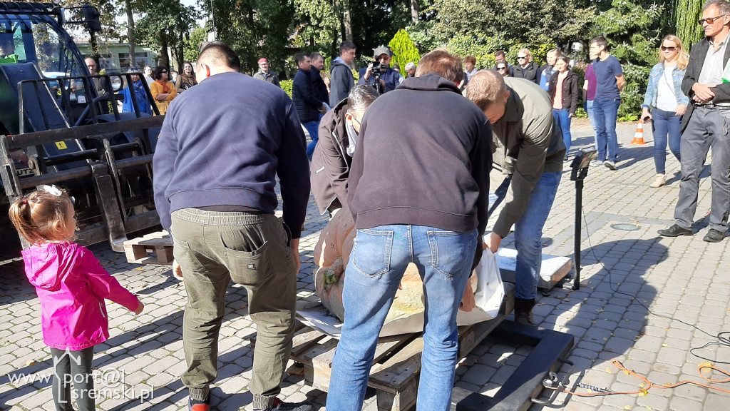 W Grzybnie wybierali nacjęższego korbola