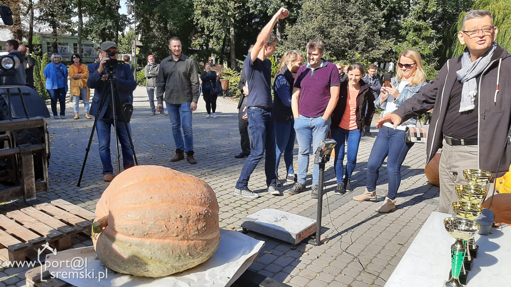 W Grzybnie wybierali nacjęższego korbola