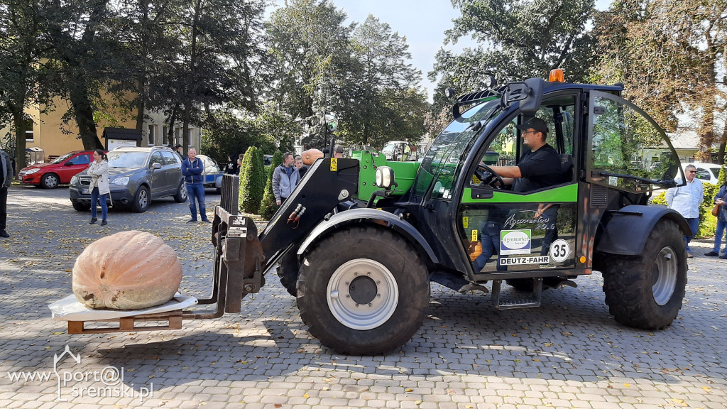 W Grzybnie wybierali nacjęższego korbola