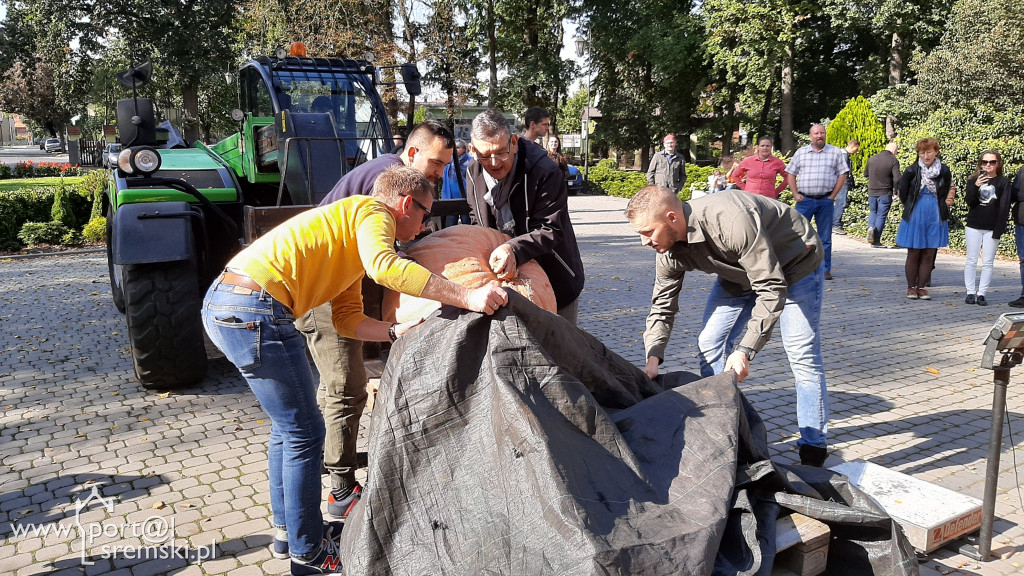 W Grzybnie wybierali nacjęższego korbola