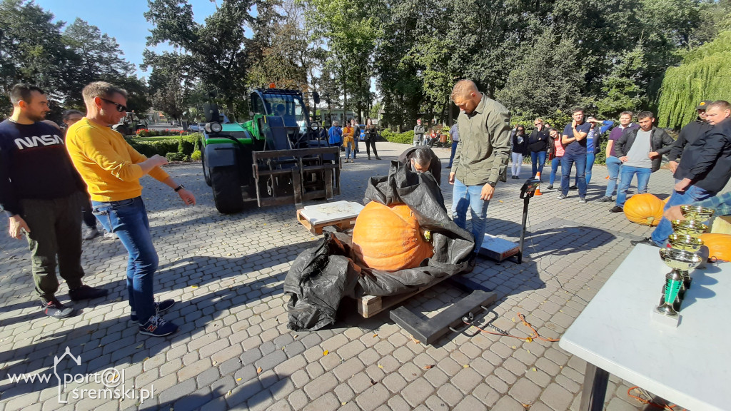 W Grzybnie wybierali nacjęższego korbola