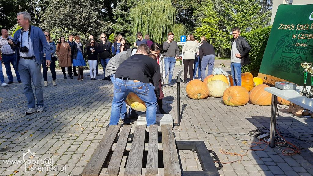 W Grzybnie wybierali nacjęższego korbola