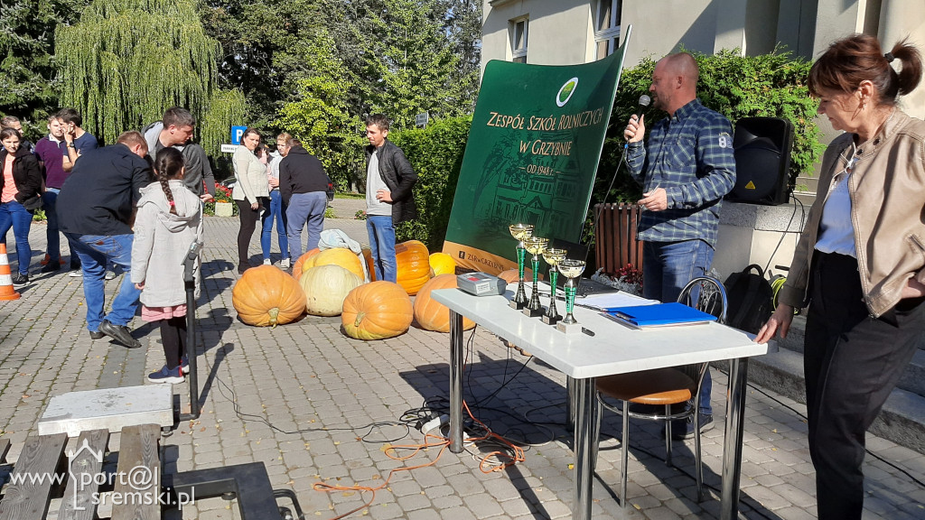 W Grzybnie wybierali nacjęższego korbola