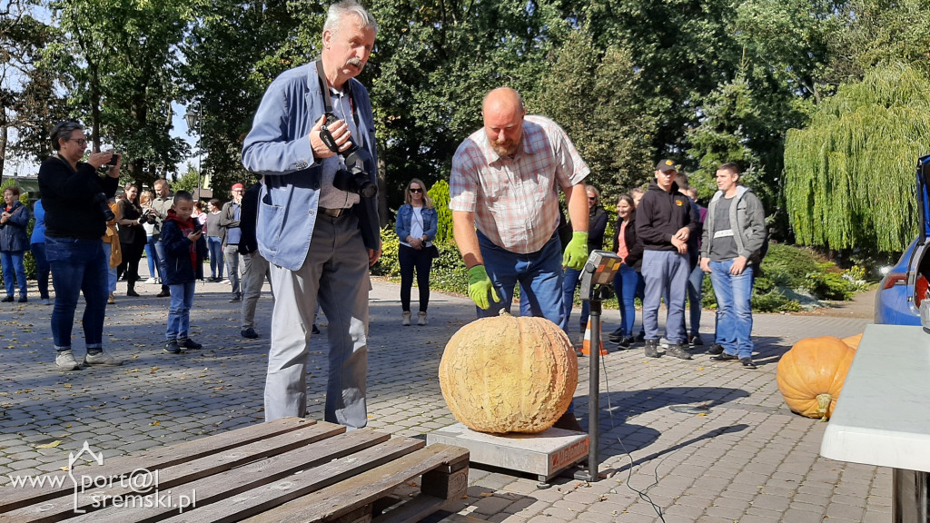 W Grzybnie wybierali nacjęższego korbola