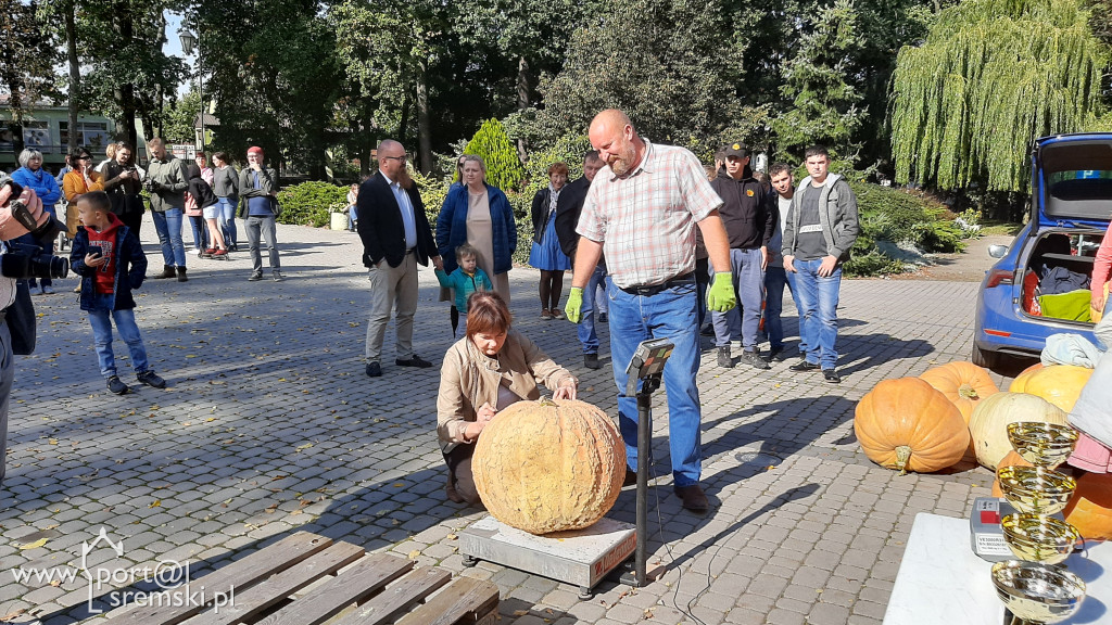 W Grzybnie wybierali nacjęższego korbola