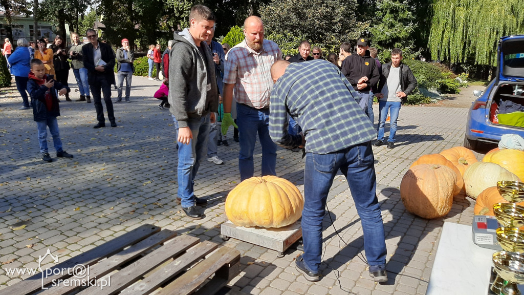 W Grzybnie wybierali nacjęższego korbola