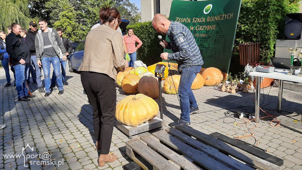 W Grzybnie wybierali nacjęższego korbola