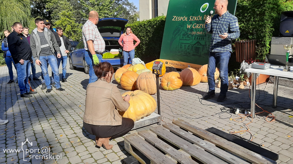 W Grzybnie wybierali nacjęższego korbola