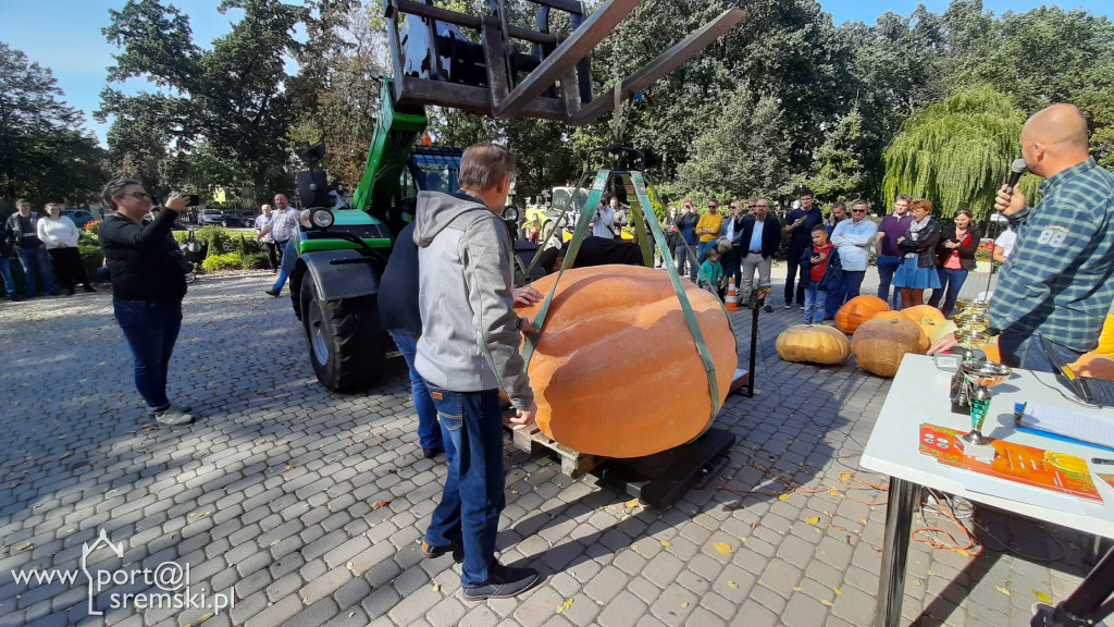 W Grzybnie wybierali nacjęższego korbola