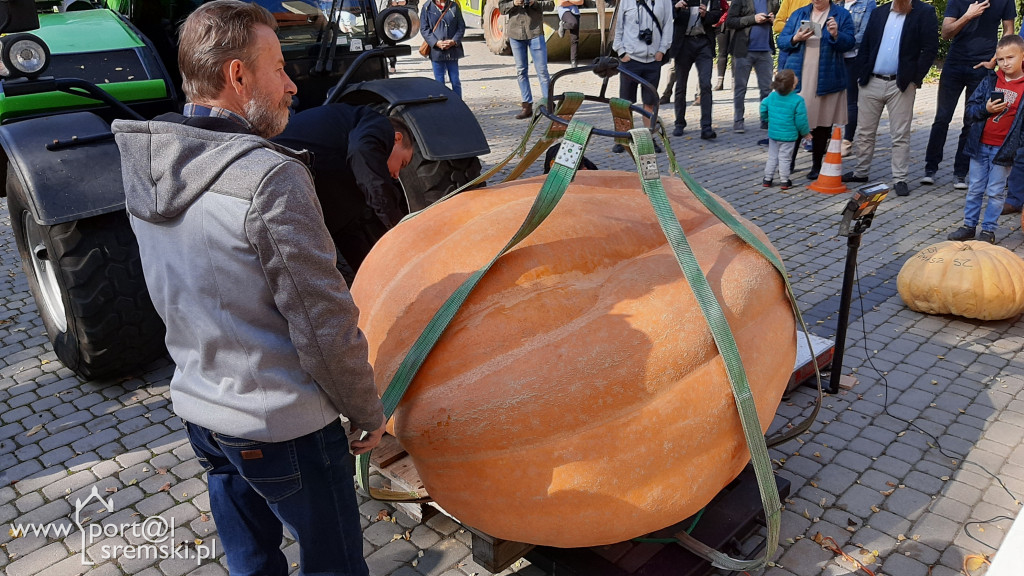 W Grzybnie wybierali nacjęższego korbola