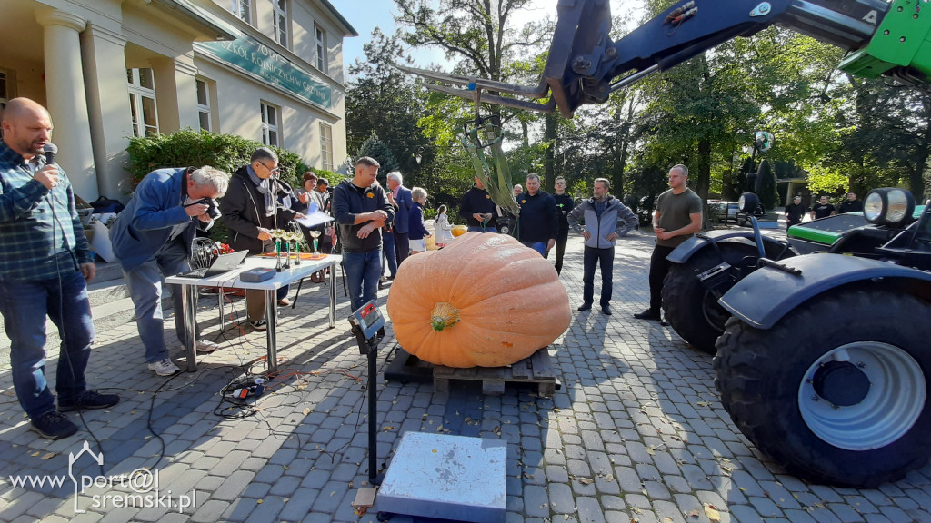 W Grzybnie wybierali nacjęższego korbola