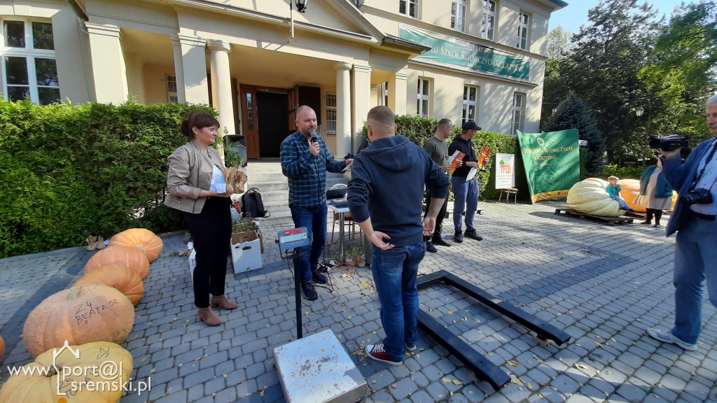 W Grzybnie wybierali nacjęższego korbola
