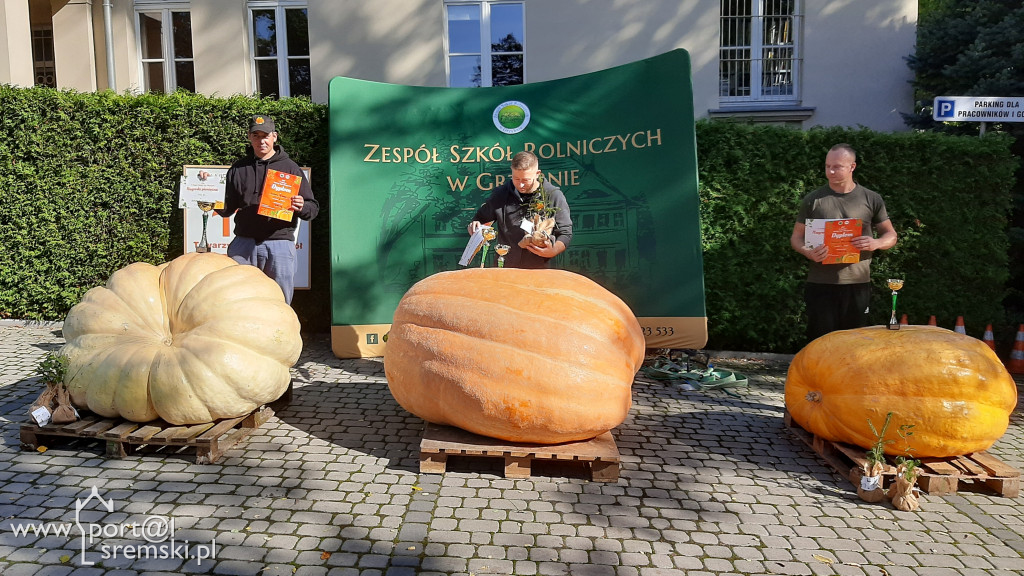 W Grzybnie wybierali nacjęższego korbola