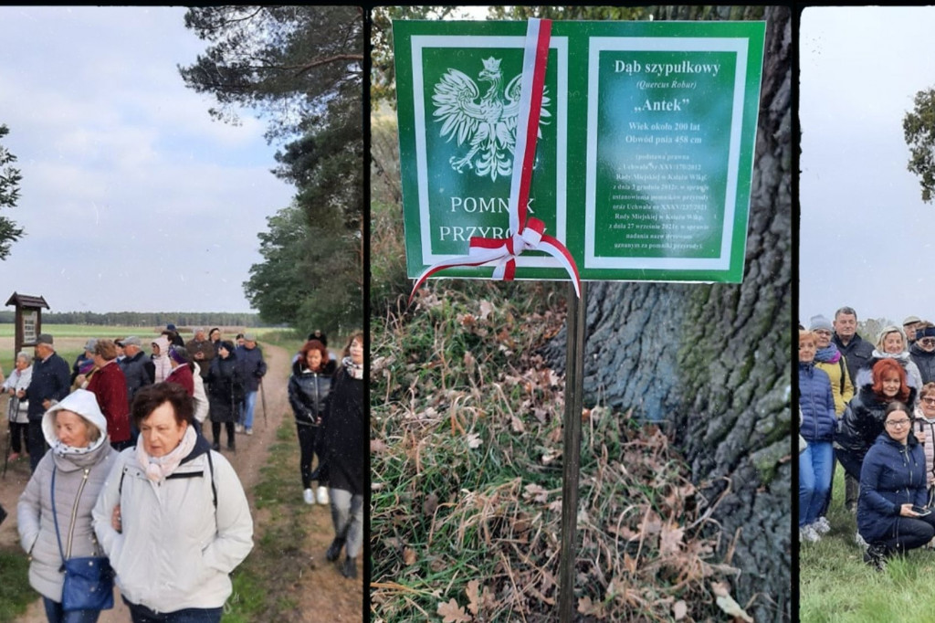 Dębowy szlak