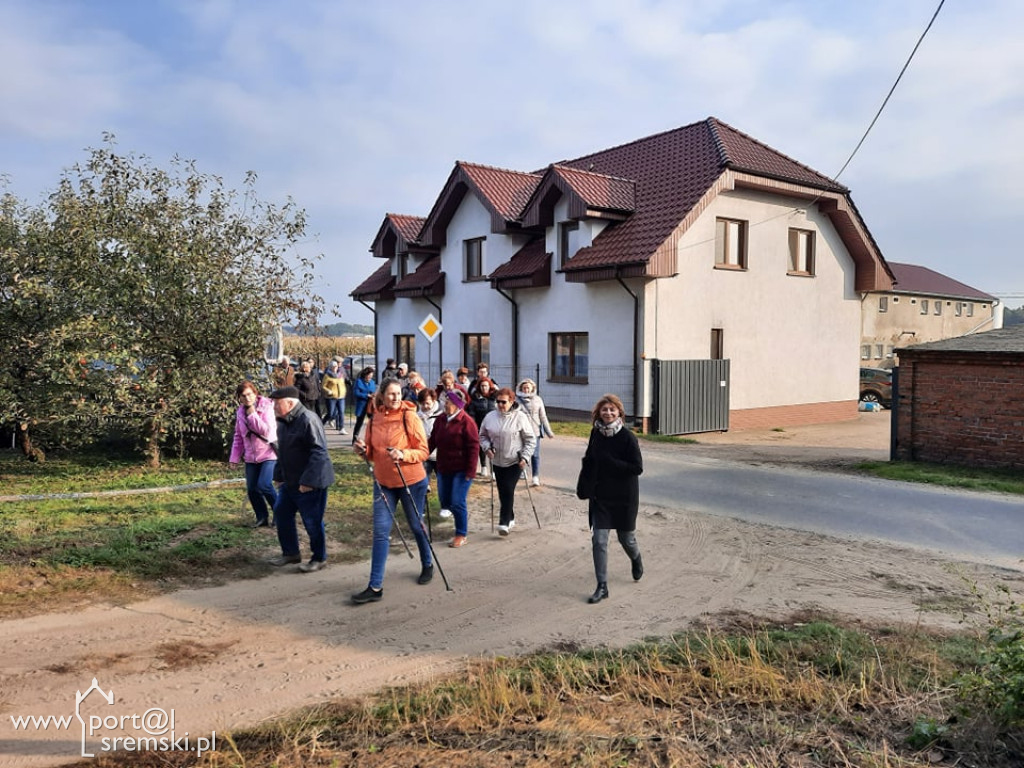 Dębowy szlak