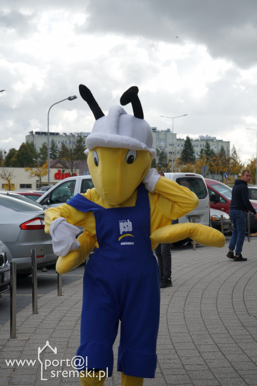 Akcja 