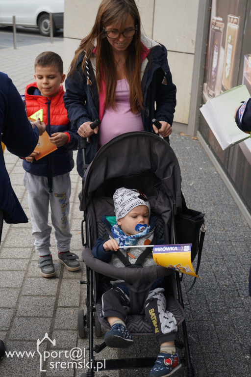 Akcja 