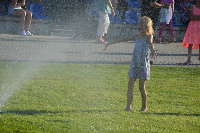 Dni Książa Wielkopolskiego