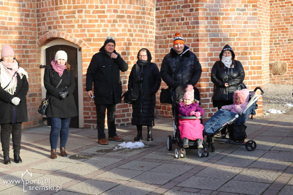 83. rocznicy śmierci, pogrzebu i ustanowienia Parku Romana Dmowskiego w Śremie