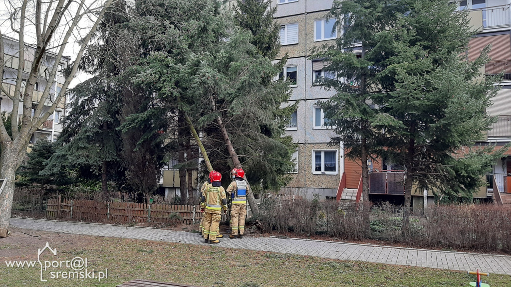 Strażacy w akcji na osiedlu