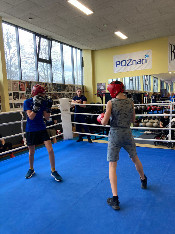Śremscy bokserzy na sparingach w Poznaniu