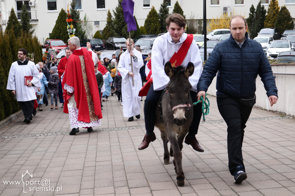 Niedziela Palmowa 2022