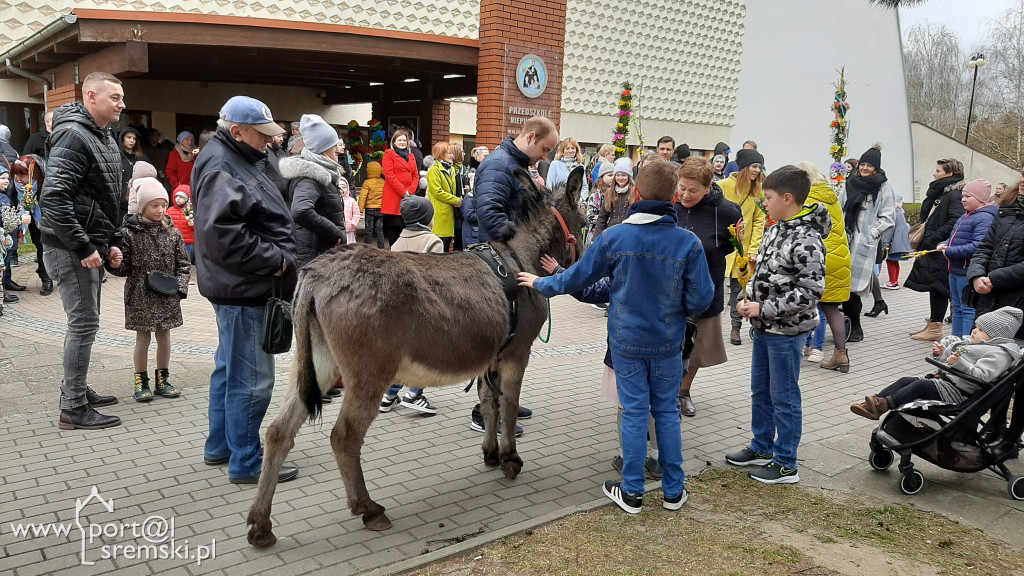 Niedziela Palmowa 2022