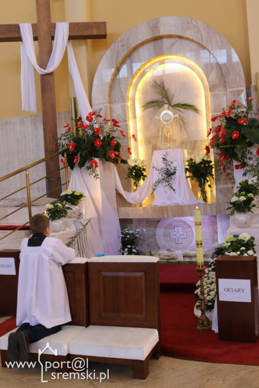 GROBY PAŃSKIE