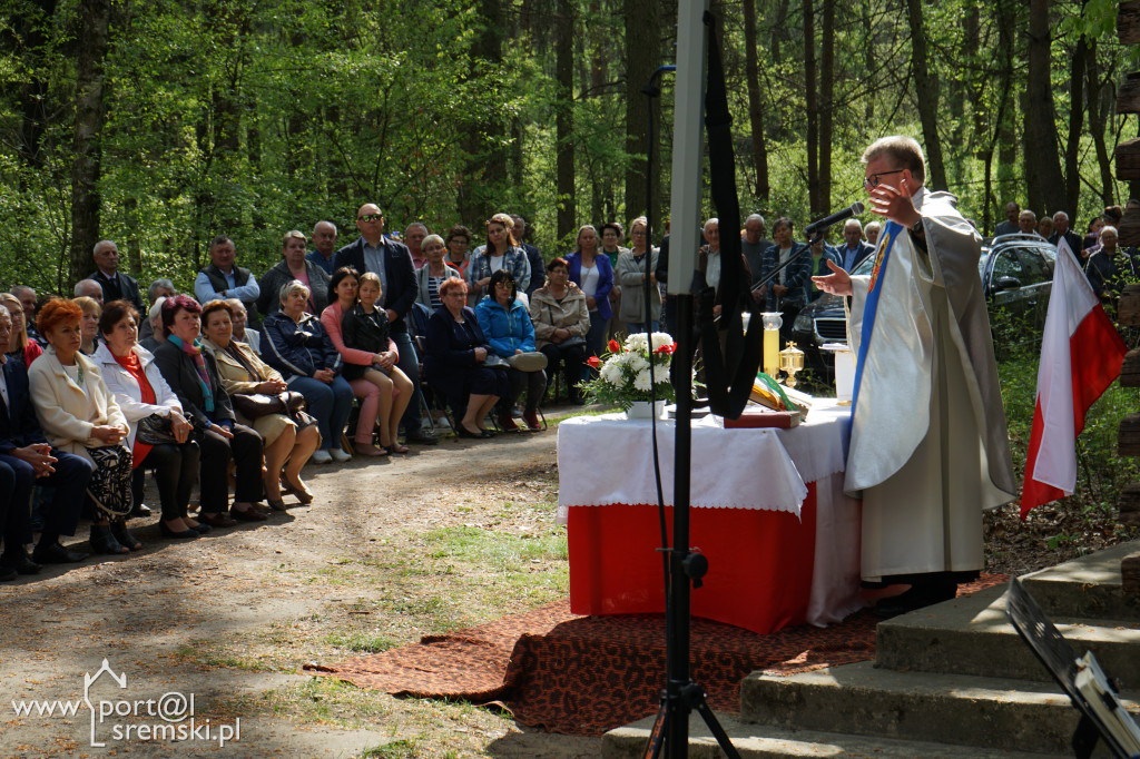 Uroczystości  w rąbińskim lesie