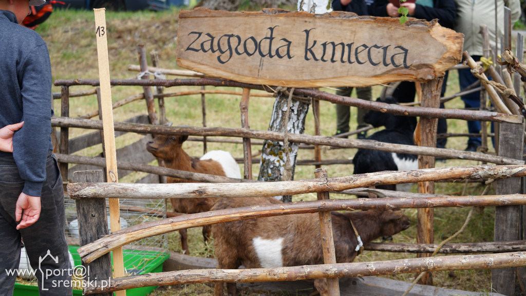 Traktoriada w Grzybnie