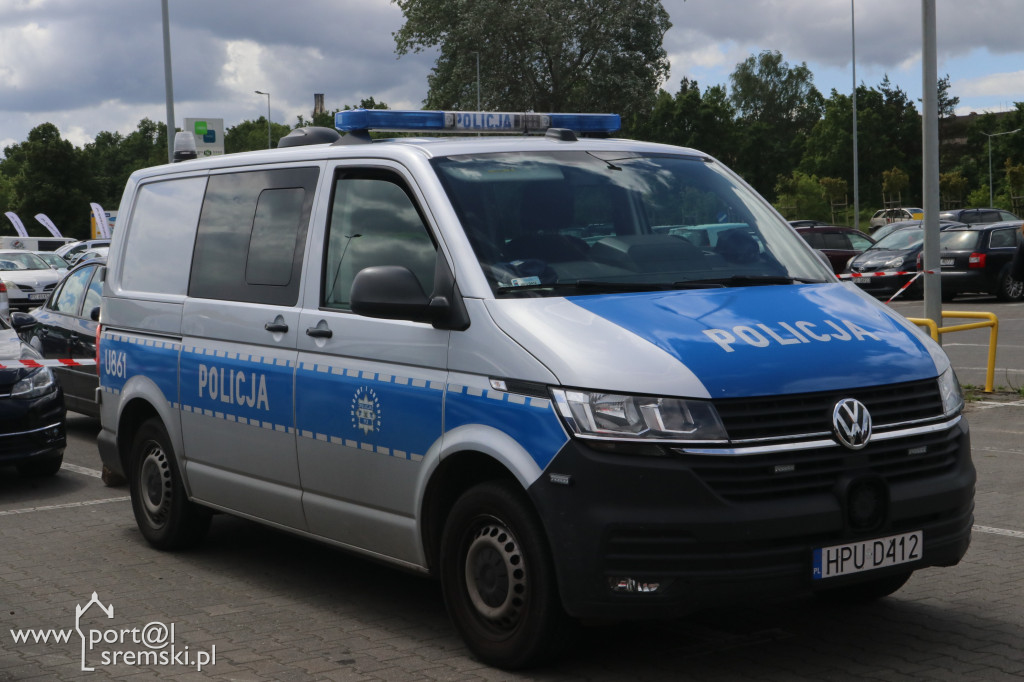 Majówka z Mrówką