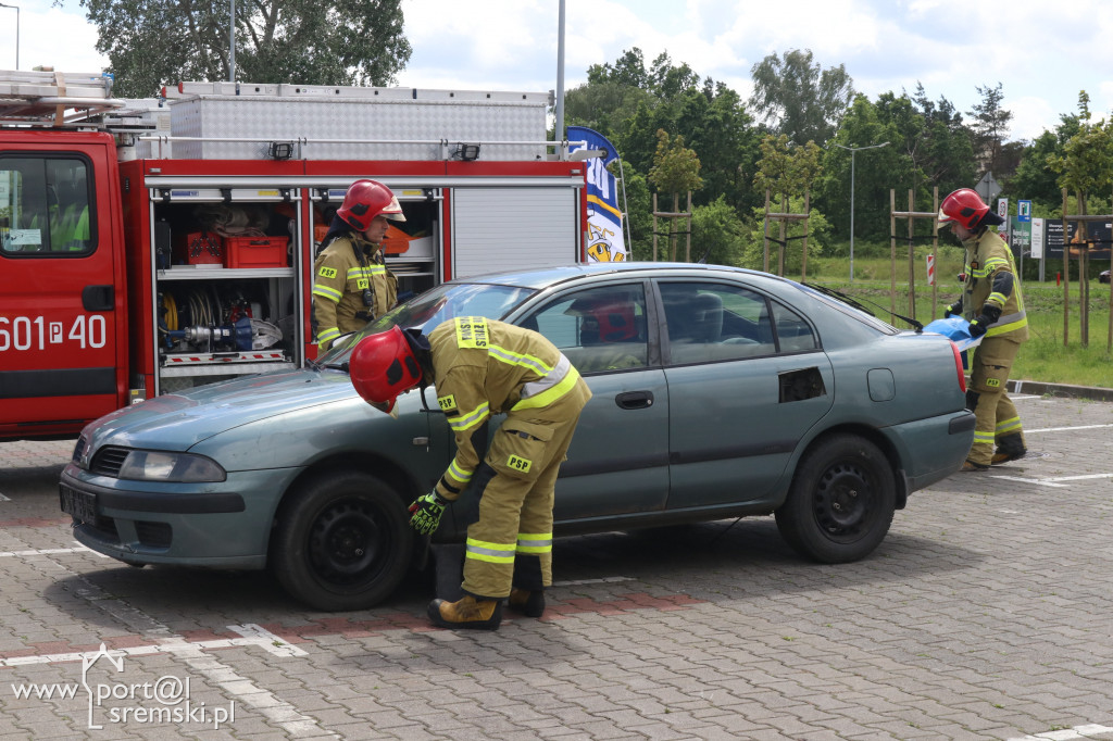 Majówka z Mrówką