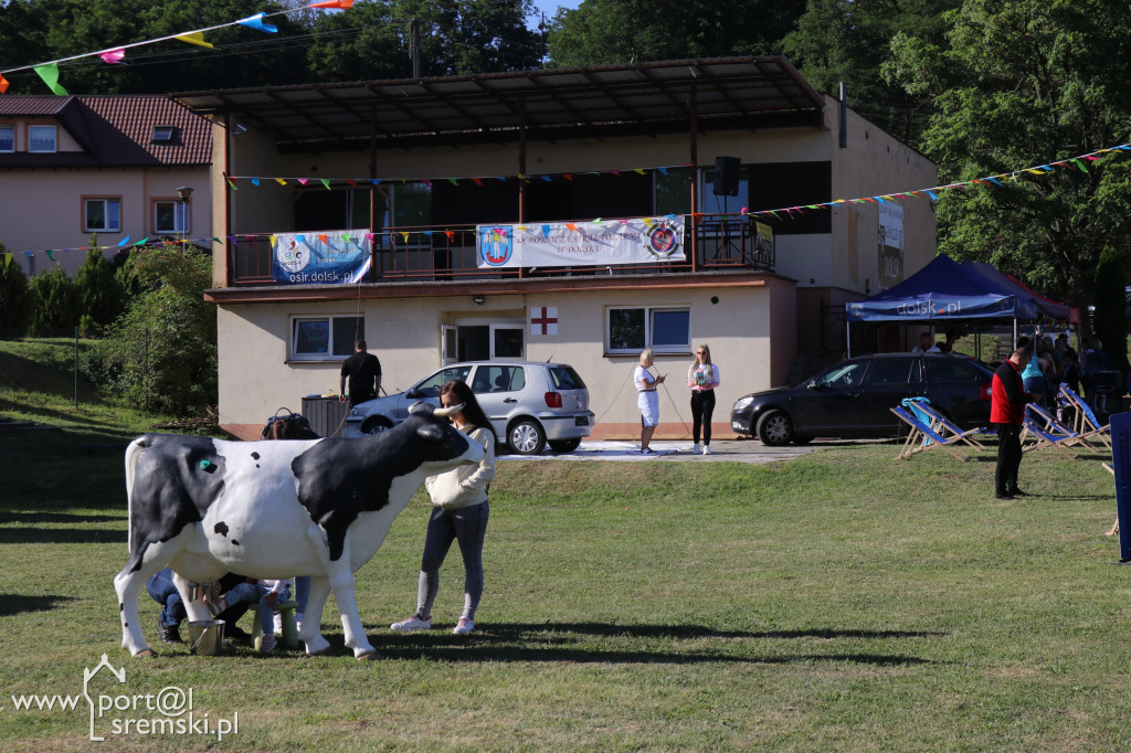 Piknik strażacki w Dolsku