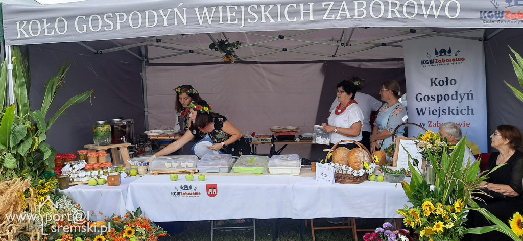 Dożynki Gminne w Kołacinie
