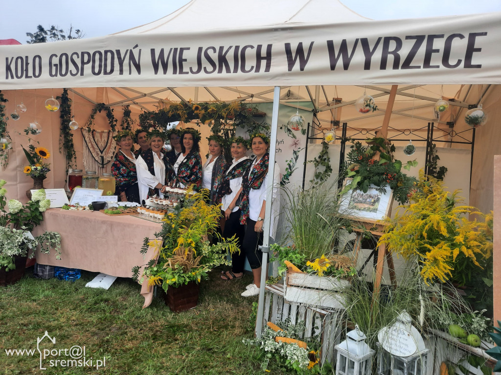 Dożynki Gminne w Kołacinie