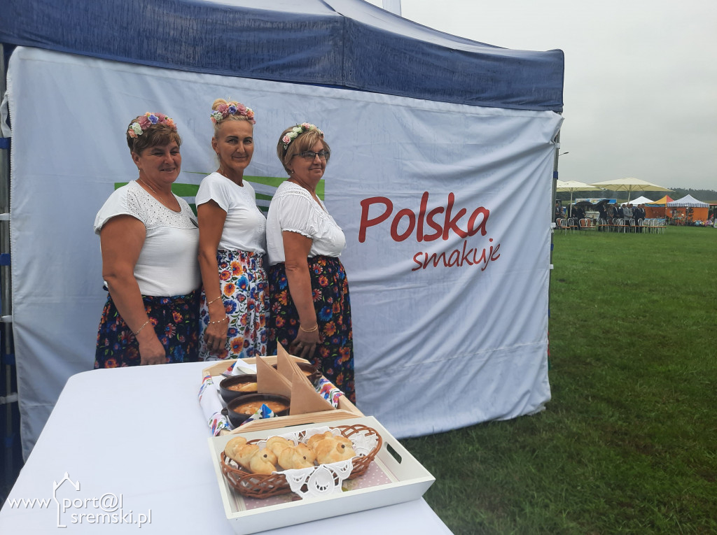 Dożynki Gminne w Kołacinie