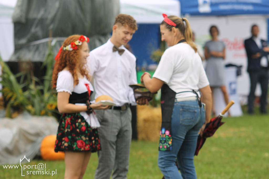 Dożynki Gminne w Kołacinie