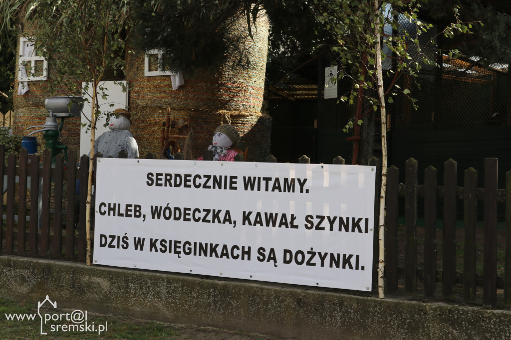 Pomysłowość ludzka