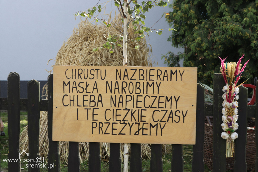 Pomysłowość ludzka