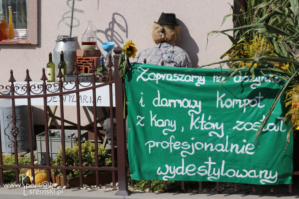 Pomysłowość ludzka