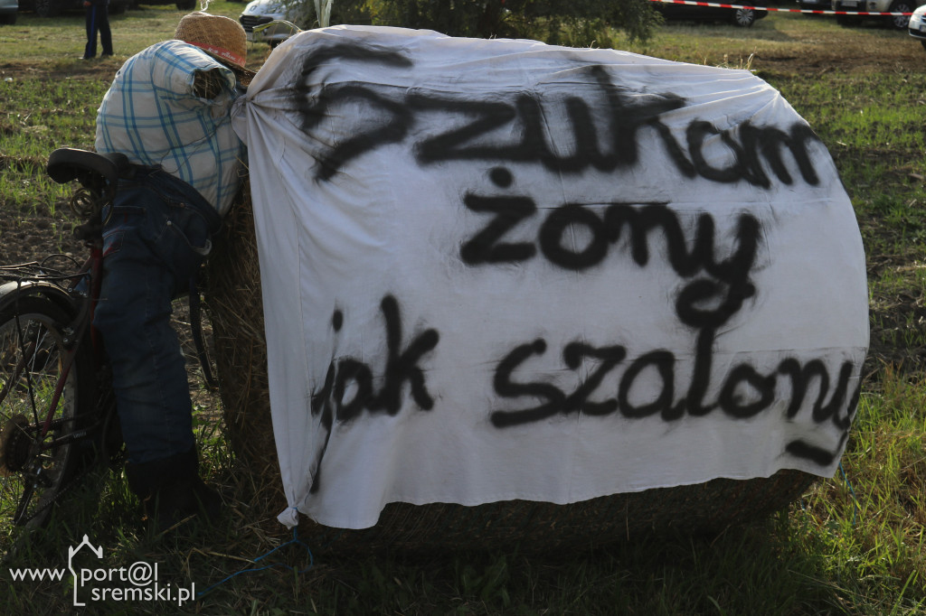 Pomysłowość ludzka
