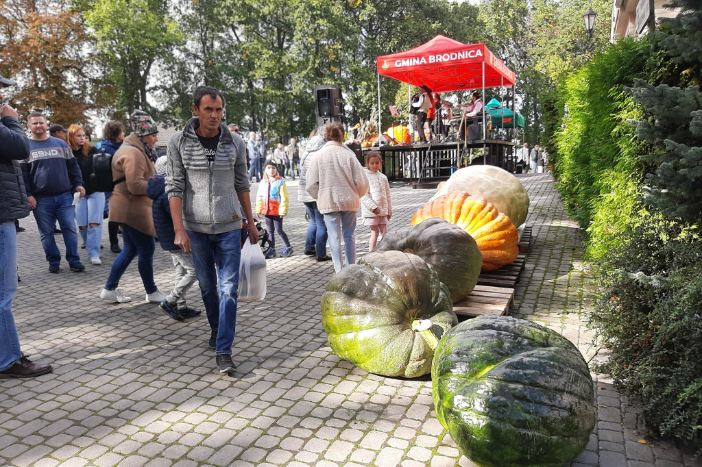 Święto korbola w Grzybnie