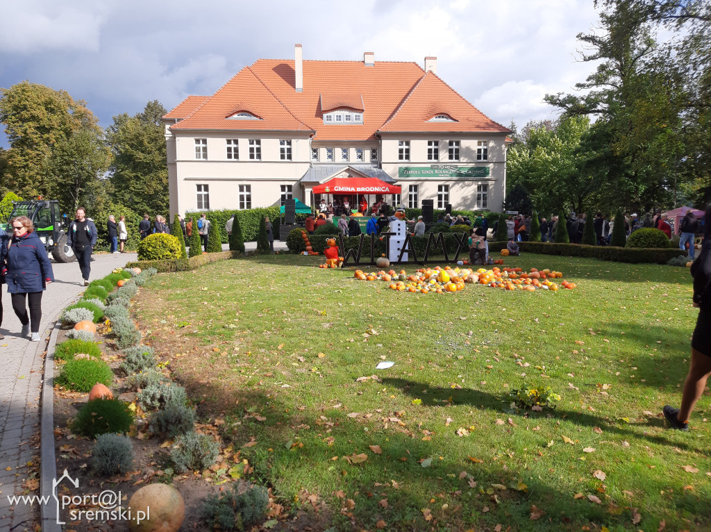 Święto korbola w Grzybnie