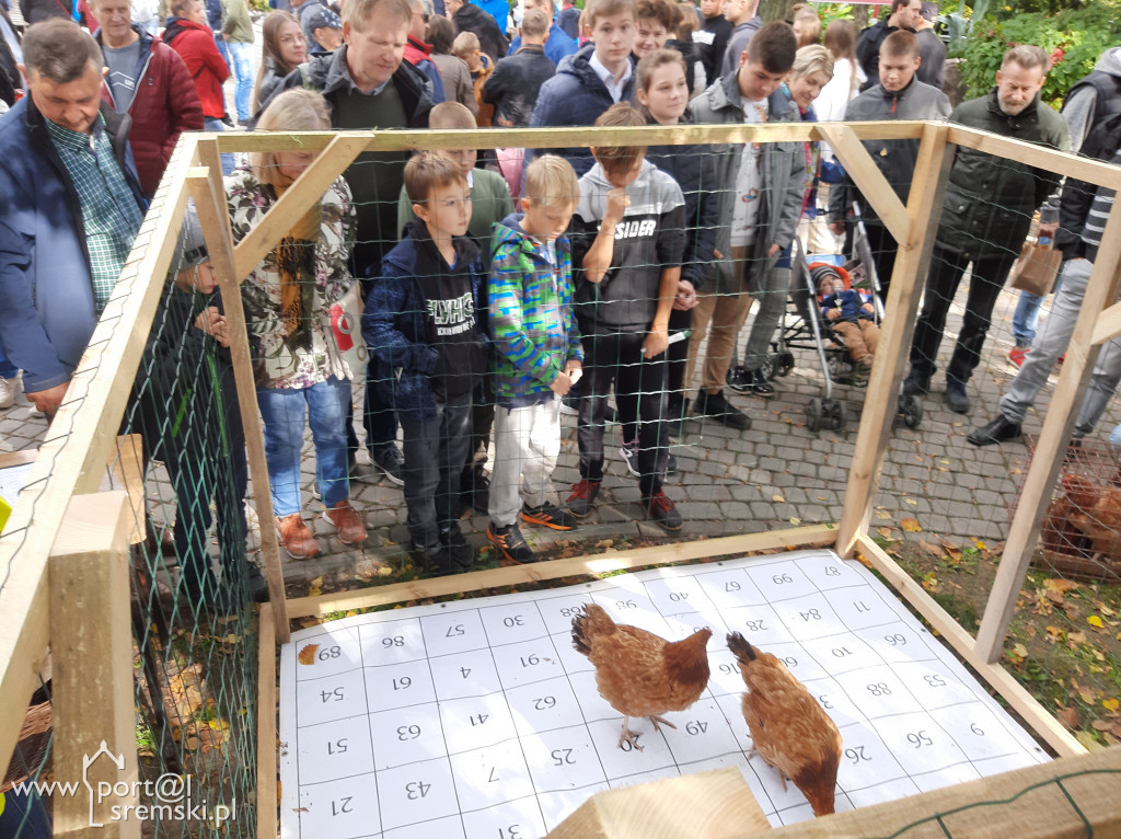 Święto korbola w Grzybnie